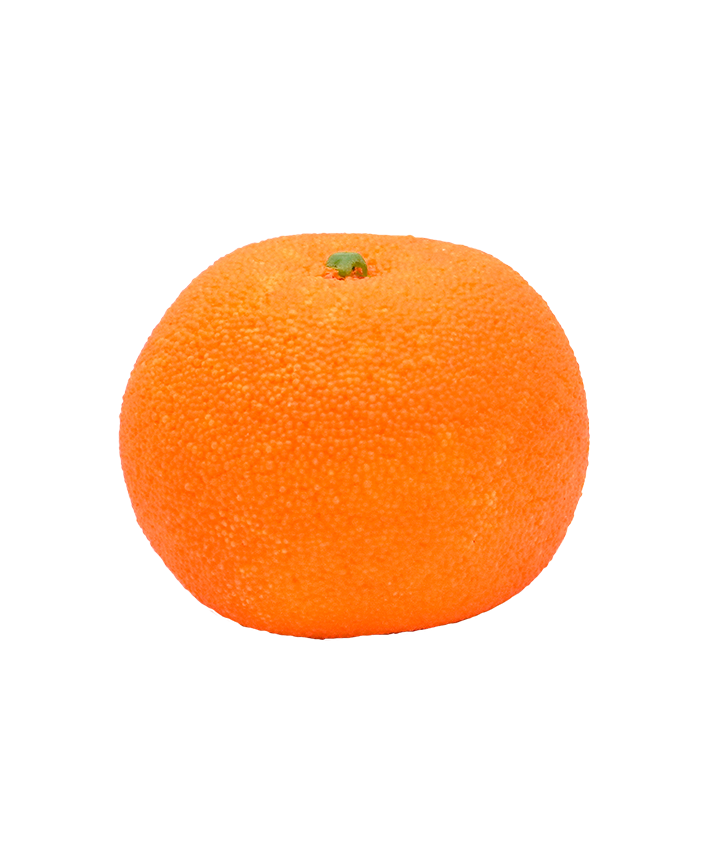 R219002-4 FRUTA ARTIFICIAL NARANJA 1PZA 10CM