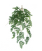 R221118-1 FOLLAJE LLORON OREJITA 70CM VERDE OSCURO