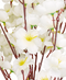 R222010-1 RAMO FLOR DE DURAZNO X30 92CM BLANCO
