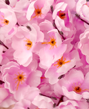 R222016 RAMO FLOR DE DURAZNO X24 216F 70CM BLANCO