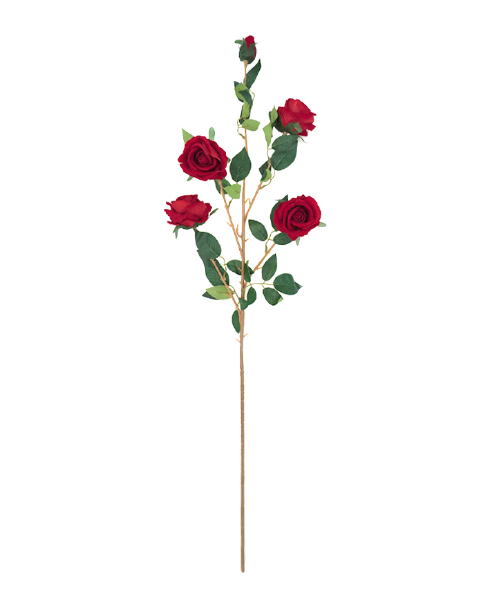 R222203 VARA ROSA X4 110CM