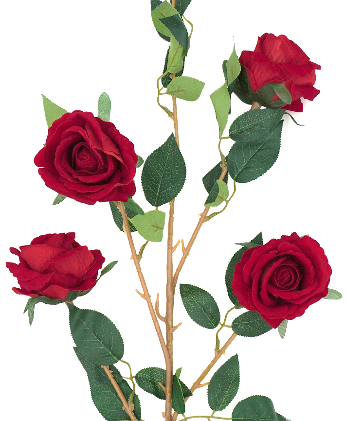 R222203 VARA ROSA X4 110CM