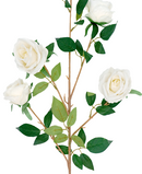 R222203 VARA ROSA X4 110CM