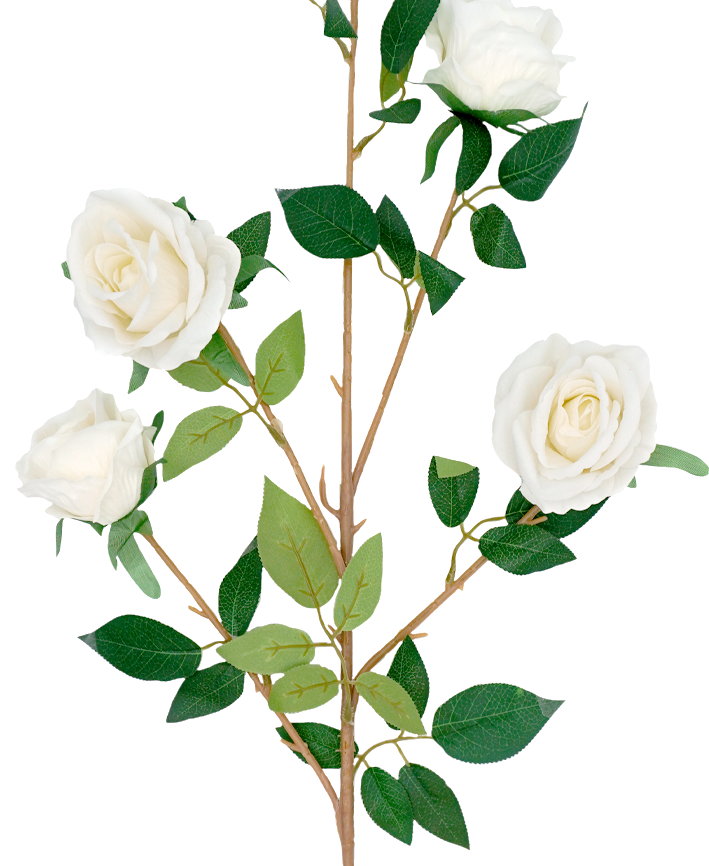 R222203 VARA ROSA X4 110CM