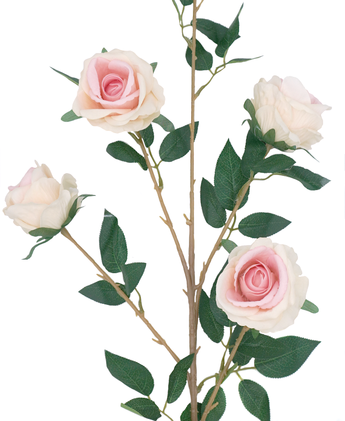 R222203 VARA ROSA X4 110CM