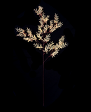 R222204 VARA CASPIA 90CM