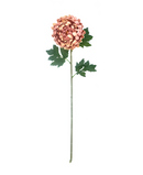 R222205 VARA DALIA 64CM