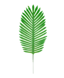 R224014 FOLLAJE HOJA PALMA 25X60CM VERDE