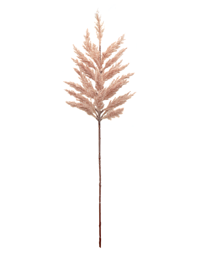 R225103 VARA PAMPA 70CM