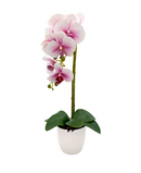 R228001 BASE CON ORQUIDEA 56CM