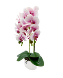 R228002-1 BASE CON ORQUIDEA 58CM