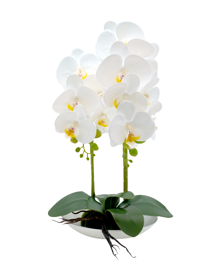 R228003-1 BASE CON ORQUIDEA 25X51CM