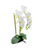 R228003-1 BASE CON ORQUIDEA 25X51CM