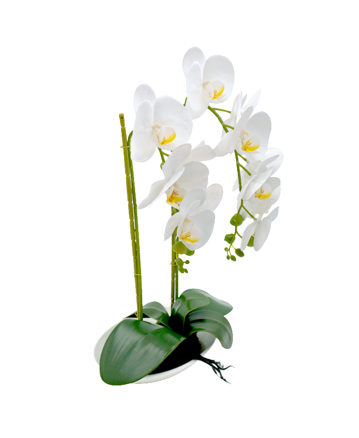 R228003-1 BASE CON ORQUIDEA 25X51CM