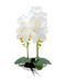 R228003-1 BASE CON ORQUIDEA 25X51CM
