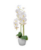 R228004-1 BASE CON ORQUIDEA 75CM