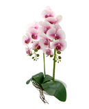 R228003-1 BASE CON ORQUIDEA 25X51CM