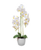 R228004-1 BASE CON ORQUIDEA 75CM