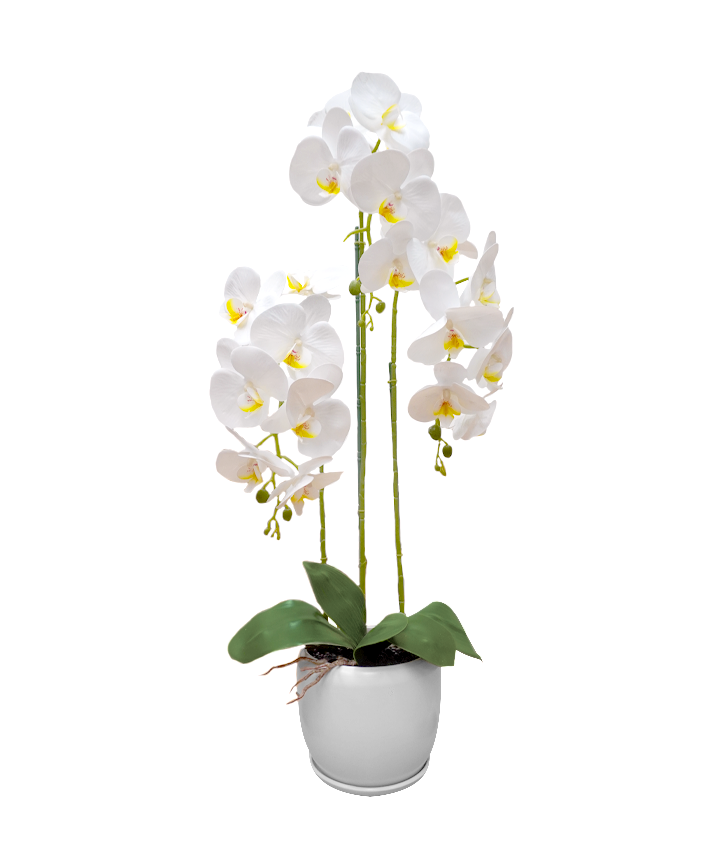 R228004-1 BASE CON ORQUIDEA 75CM