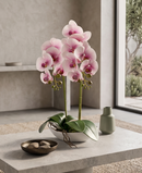 R228003-1 BASE CON ORQUIDEA 25X51CM