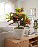 R310205-2 MACETA 37X29CM MARFIL RUSTICO