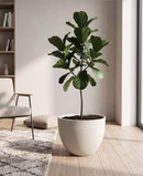R310206-1 MACETA 40X31CM BLANCO RUSTICO