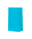R418101 BOLSA DE PAPEL 13X24X8CM 12PZ