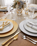 R709053 BAJO PLATO BRAI 33CM