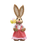 R738032 CONEJO EXPLORADOR 35CM