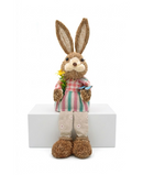 R738033 CONEJO PATON 2 41CM