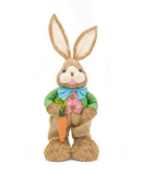 R738034 CONEJO OREJON 65CM