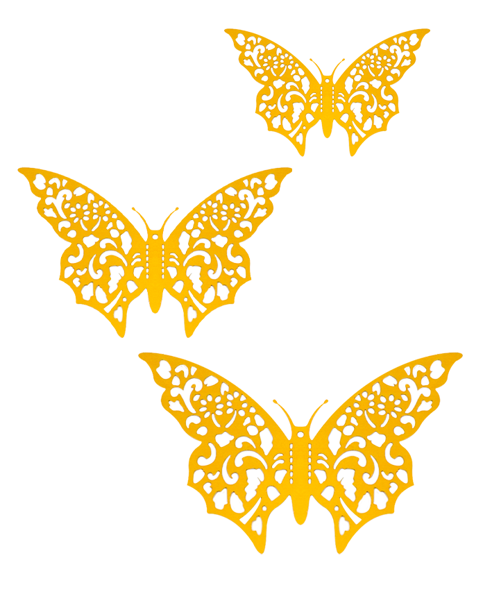R923102 MARIPOSAS PAPEL PERFORADA 12PZS