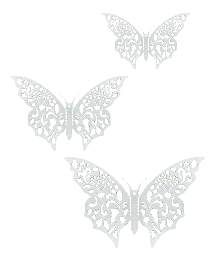 R923102 MARIPOSAS PAPEL PERFORADA 12PZS
