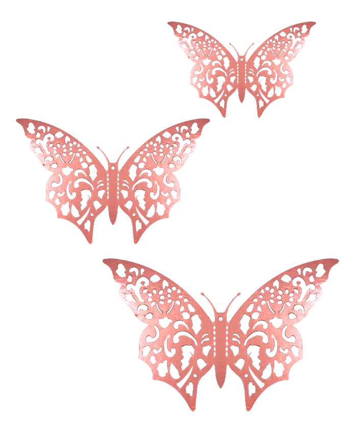R923102 MARIPOSAS PAPEL PERFORADA 12PZS