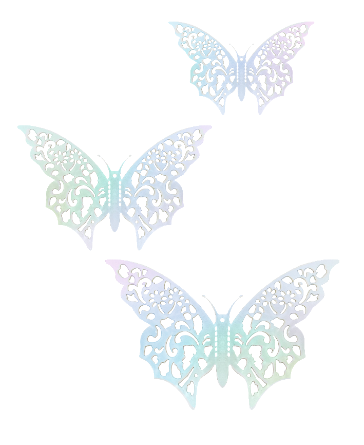 R923102 MARIPOSAS PAPEL PERFORADA 12PZS
