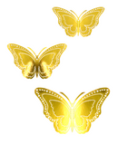 R923103 MARIPOSAS PAPEL CIRCULOS 12PZS
