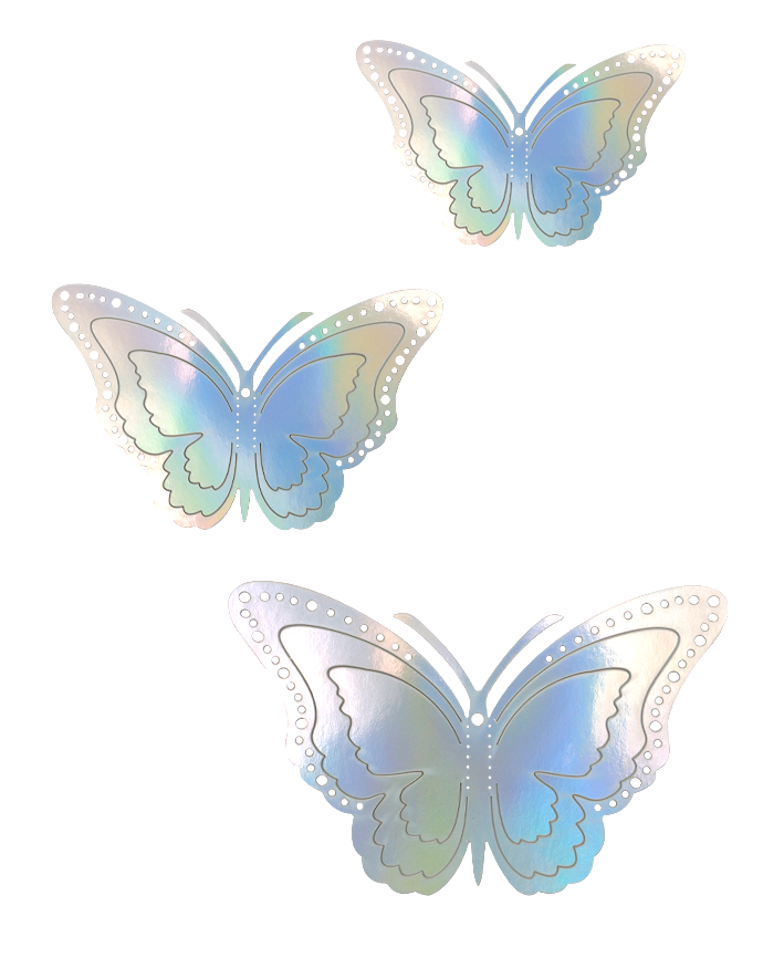 R923103 MARIPOSAS PAPEL CIRCULOS 12PZS