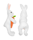 R942203-1 CONEJO PELUCHE CON ZANAHORIA 23CM BLANCO