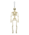 R999009 ESQUELETO HALLOWEEN 40CM