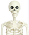 R999010 ESQUELETO HALLOWEEN 100CM