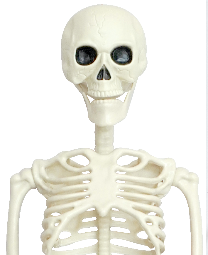 R999010 ESQUELETO HALLOWEEN 100CM