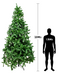 R101028 PINO NAVIDAD DENVER 3.00MTS