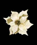 R117003 NAVIDAD RAMO NOCHE BUENA HOJA PERFORADA X5 FLOR 23CM