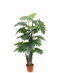 R201006 PLANTA HOJA FELIZ 1.50MTS