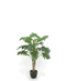 R201007 PLANTA HOJA FELIZ 80CMS