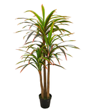 R201028 PLANTA YUCA REAL TOUCH 2 MT