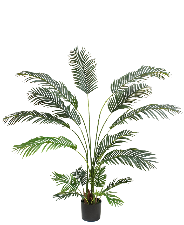 R201036 PLANTA PALMA REAL TOUCH 1.70 MTS