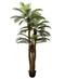 R201040 PLANTA  PALMA ARECA 3 MTS