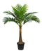 R201052 PLANTA PALMA ARECA  1.30 MTS