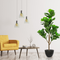 R201064 PLANTA ARTIFICIAL PANDURATA 1.68 MTS